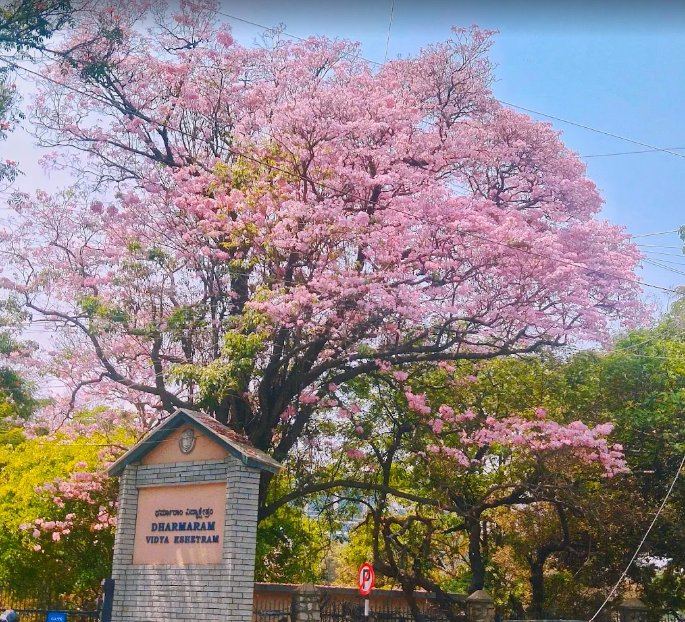 CHRIST University Extends UG & PG Admission 2026 Deadlines